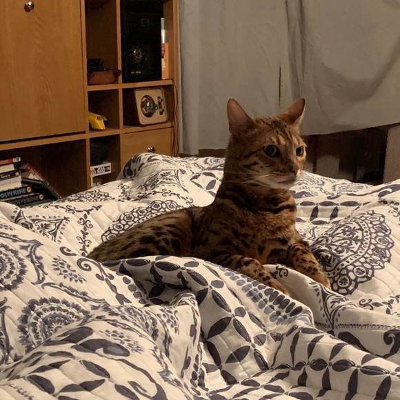 Smoke Free Home - Picture 4 of 4